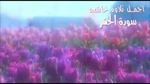 القارئ ماهر المعيقلي/ يا ايها الذين امنو اتقو الله / سوره الحشر حالات وتساب/ تلاوه هادئه وشجيه