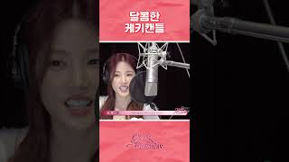 달콤한 케키캔들ㅣ&#39;PINK CHRISTMAS&#39; Recording Making Film #Shorts