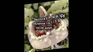Celebrity тгк: Soft Glimmer Wealth