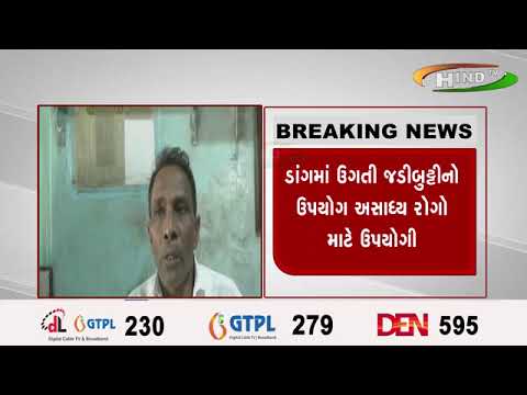 ડાંગ જિલ્લો કુદરતી વનસંપદાથી હર્યો ભર્યો