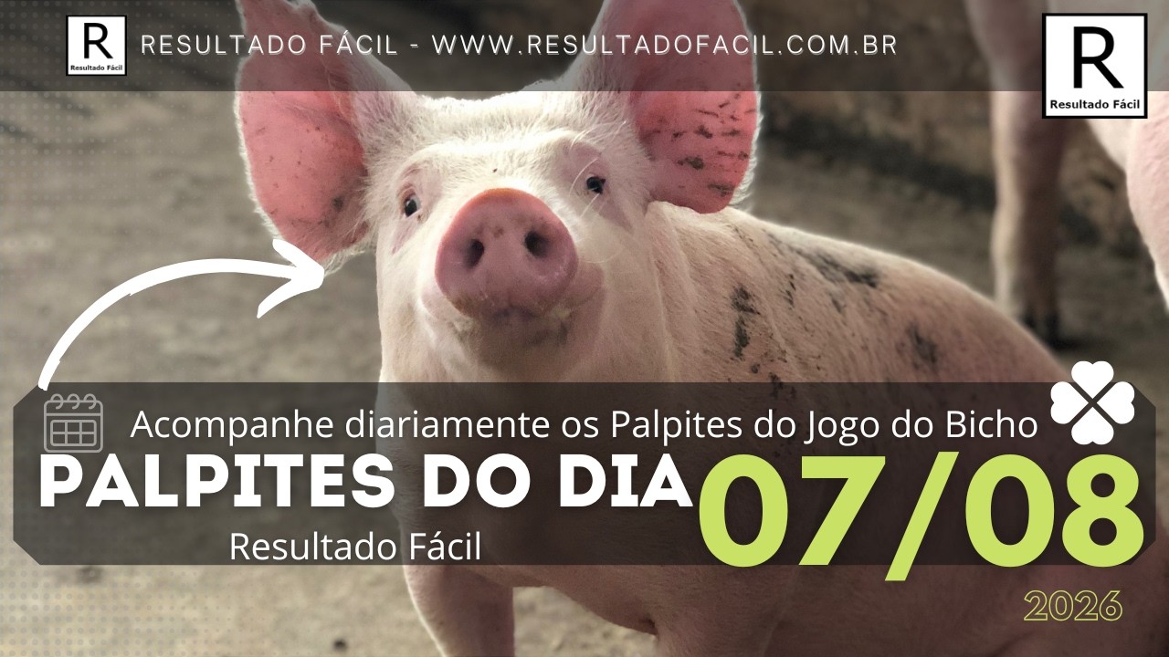 Palpites do dia Jogo do Bicho para o dia 07/08/2026