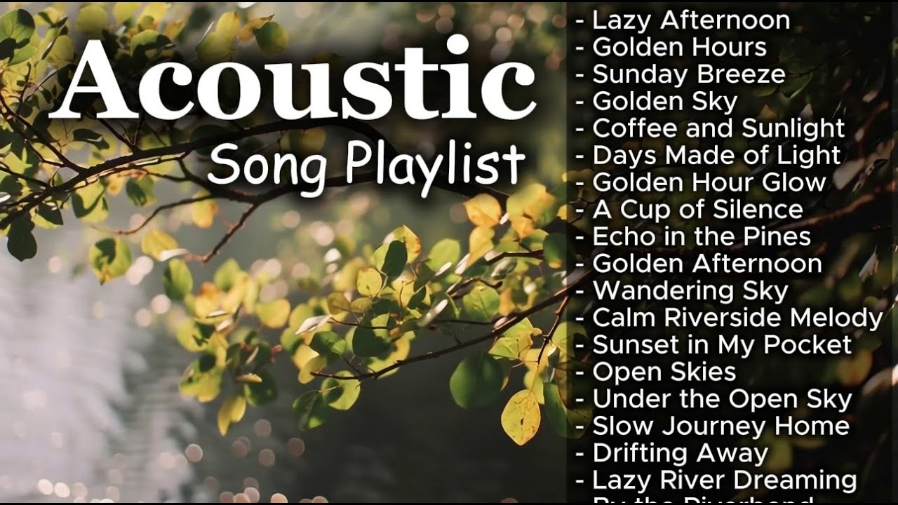 Chill Acoustic Love Songs for Study & Relax Vol 【2616】