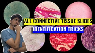 All Connective Tissue Identification Tricks - Anatomy (Histology) - 1st Year MBBS IOM, TU