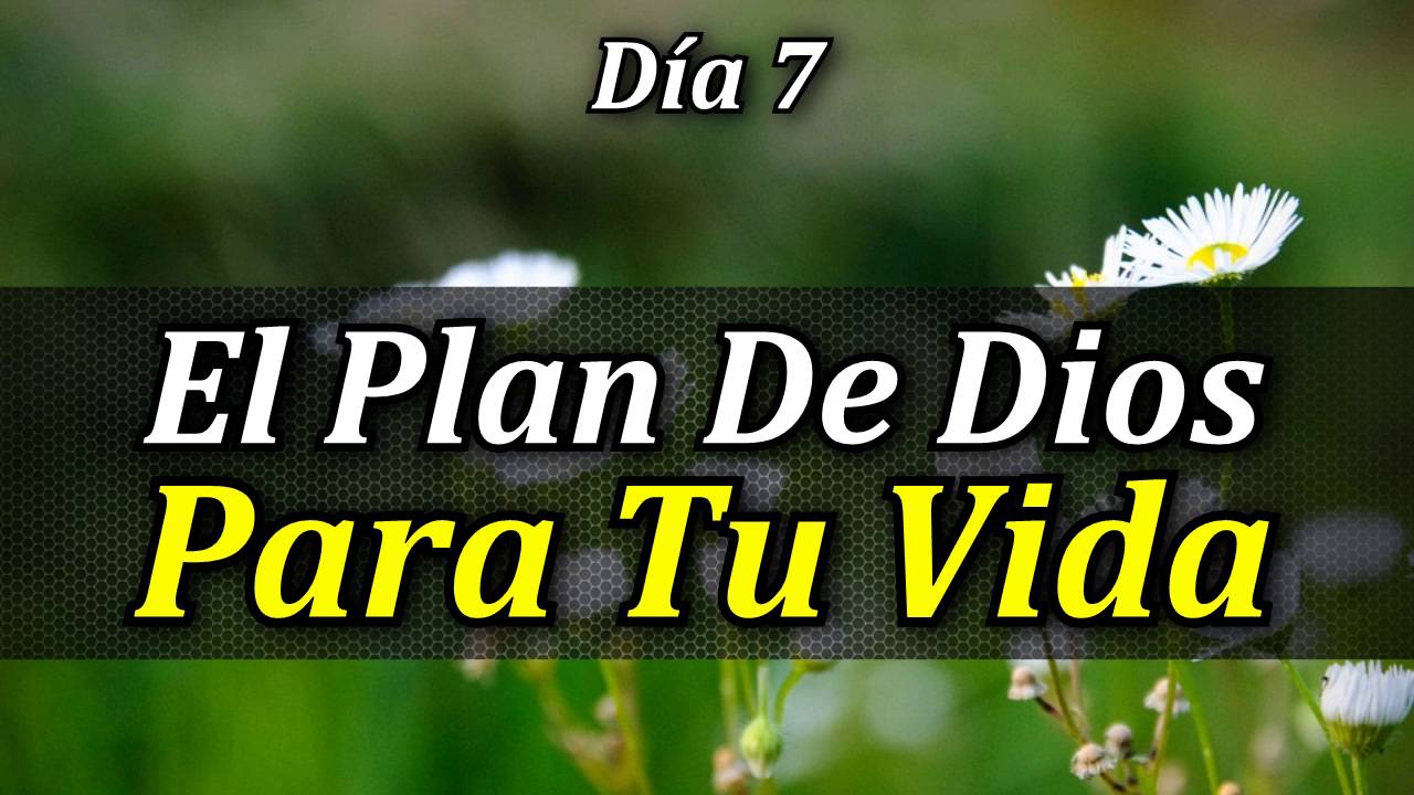 El Plan De Dios _ El tiempo de Dios es perfecto: reflexiones y ...