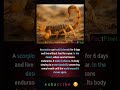 scorpion fact #youtubeshorts #factshorts #facts #scorpion