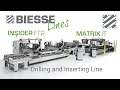 Biesse insider ft2  matrix it  drilling and inserting line