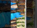 この断面、見ただけでお腹が鳴る【焼き鯖すし】