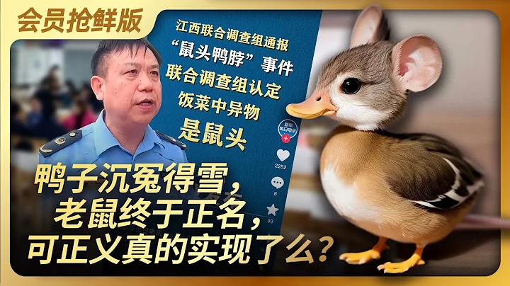 鴨子沉冤得雪，老鼠終於正名，可正義真的實現了么？｜鼠頭鴨脖｜聯合調查組｜權力｜程序正義｜胡錫進｜羅生門｜王局拍案20230619 - 天天要聞
