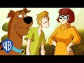 Scooby-Doo! | The Green-Eyed Monster | @wbkids ​