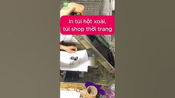 In túi hột xoài PE shop thời trang