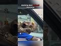 Ranking best ANIMAL moments#TheVibeMeter #VibeCheck #FunnyAnimals #10millionviews #Shorts #Viral