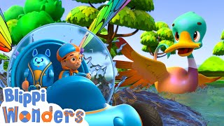 swimming ducks blippi wonders kids