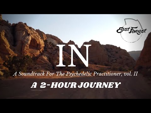 East Forest - "IN" - A 2 hr Continuous Journey at Dawn
