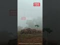 ആറളം ഒന്നാം ബ്ലോക്കിൽ കാണപ്പെട്ട കാട്ടാനക്കൂട്ടം | Aralam | Elephant