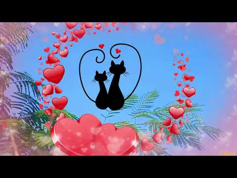 ❤️❤️❤️ Я от любви к тебе с ума схожу ❤️❤️❤️ Ты мое все... Мое ты счастье, нежность, вдохновенье...