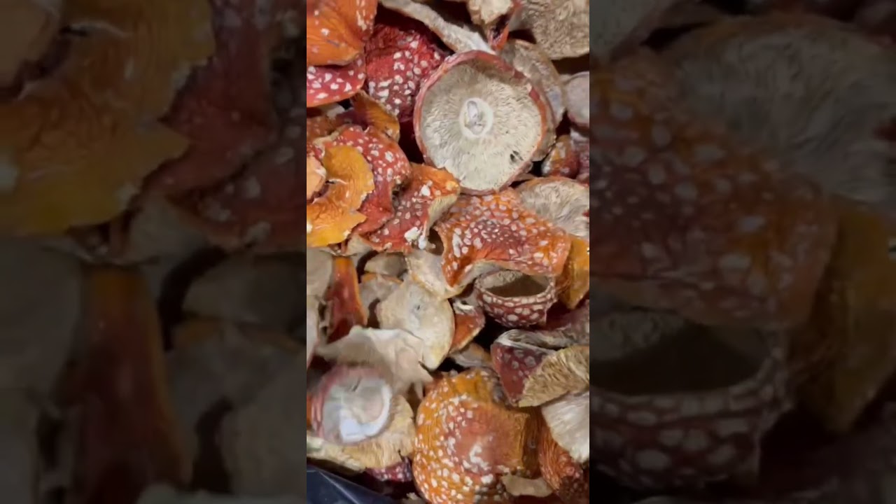 Подписывайтесь  в тг 👉 