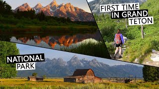 HIKING GRAND TETON TRAILS | Cascade Canyon, Hidden Falls, Moulton Barn, Jenny Lake and a bull moose