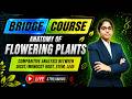 Anatomy of Flowering Plants Explained 🌿 | Dicot vs Monocot Comparison | Bridge Course