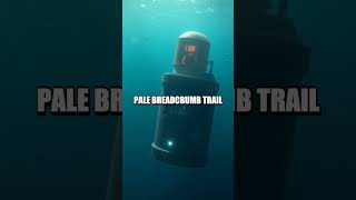 The Silent Beacon at Seamount 13