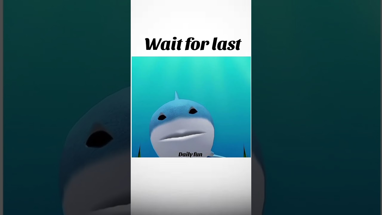 Internet Cable vs Shark 🤣🤣 | Funny Video | Inspiring Life Moments || 