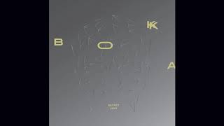 Vignette de la vidéo "BOKKA - Secret Void (Official Audio)"