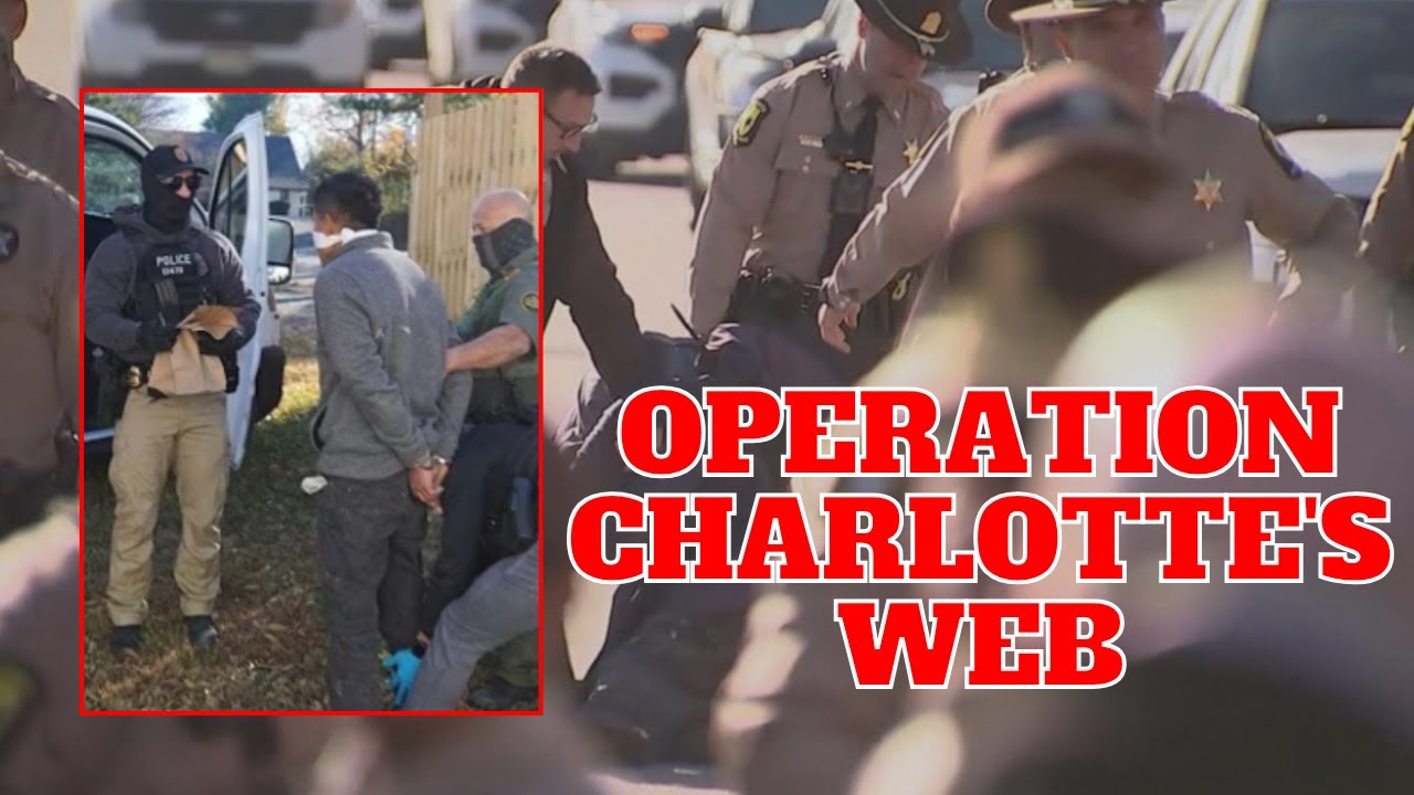 МАГИЯ ICE Raid: школы Шарлотты пустеют, движение транспорта исчезает – ЧУДО Трампа!