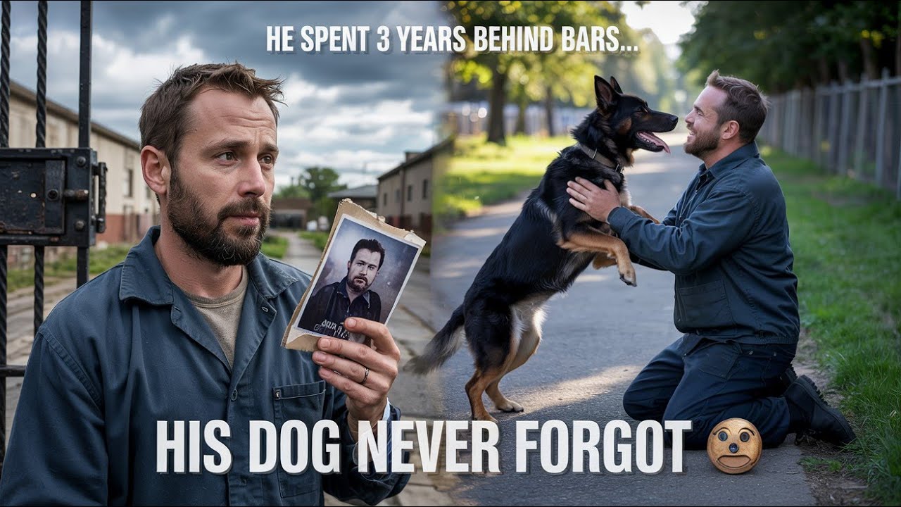Ex Cop Reunites with His Loyal K9 After 3 Years in Prison - YouTube