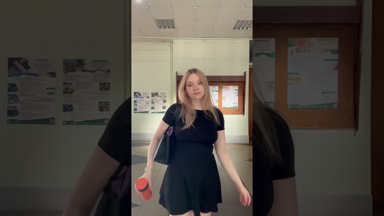 образ в институт