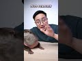 Medy renaldy ngereview mainan otter hyperrealistic w marcelldegen