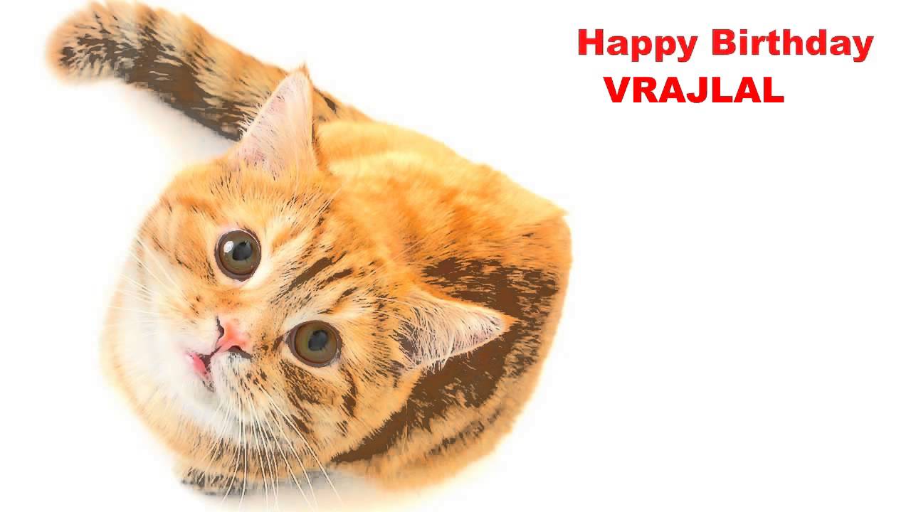 Vrajlal   Cats Gatos - Happy Birthday