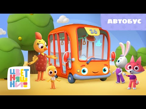 Цветняшки - Автобус