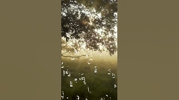 { إنَّ الَّذين قَالوا ربُّنا اللهُ ثُمَّ اسْتقَاموا } قراءة بديعة ، القارئ : عبد العزيز الجريسي ♥️🍃