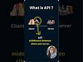What is API? Explained in 60 second for Beginners