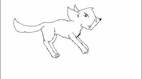 MY FIRST CAT RUN CYCLE!!