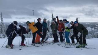 TRYSIL17