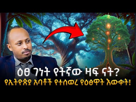 የገነት ዛፍ እፀ ገነት እውነተኛ ምንነት የኢትዮጵያ ሊቃውንት ስለ ዕፅዋት የተሰወረው እውቀት የትኛው ዛፍ ናት ዶር ሮዳስ ታደሰ Awtar