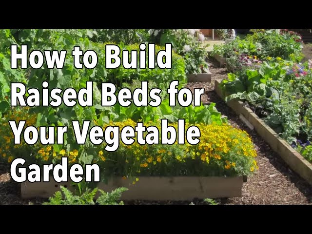 Build A Garden Box