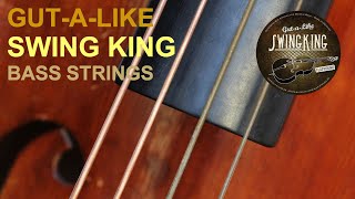 Gut-A-Like Swingking Double Bass Strings - Presentation - Review