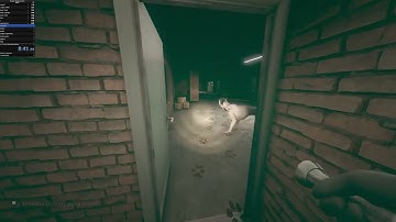 4p NMG Nightmare role and Speedrun submission or whatever I finally have the achievement