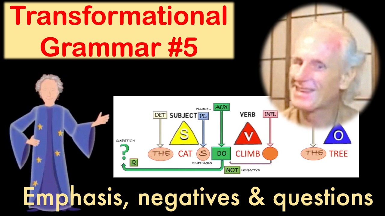 🧑‍🎓 Basic Transformational Grammar #5: Emphasis, negatives, questions, and more! 👀