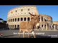🇮🇹 Donkey Visits ROME! Lies Down at the Colosseum | Funny Animal Italy Adventure