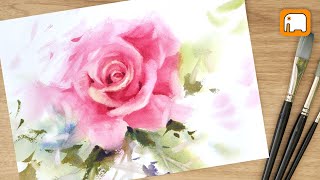 How to paint   PINK ROSE WITHOUT DRAWING Watercolour tutorial Demonstration  Watercolor painting
