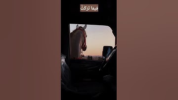 سورة المؤمنون ( الآية 99 - 100 ) القارئ ياسر الدوسري♥️