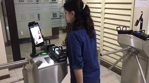 Matrix face recognition with turnstiles