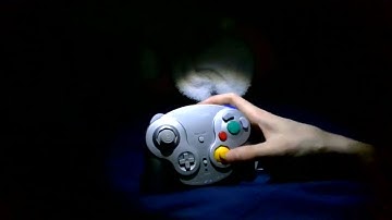 WaveBird controller (Wireless GameCube Controller)