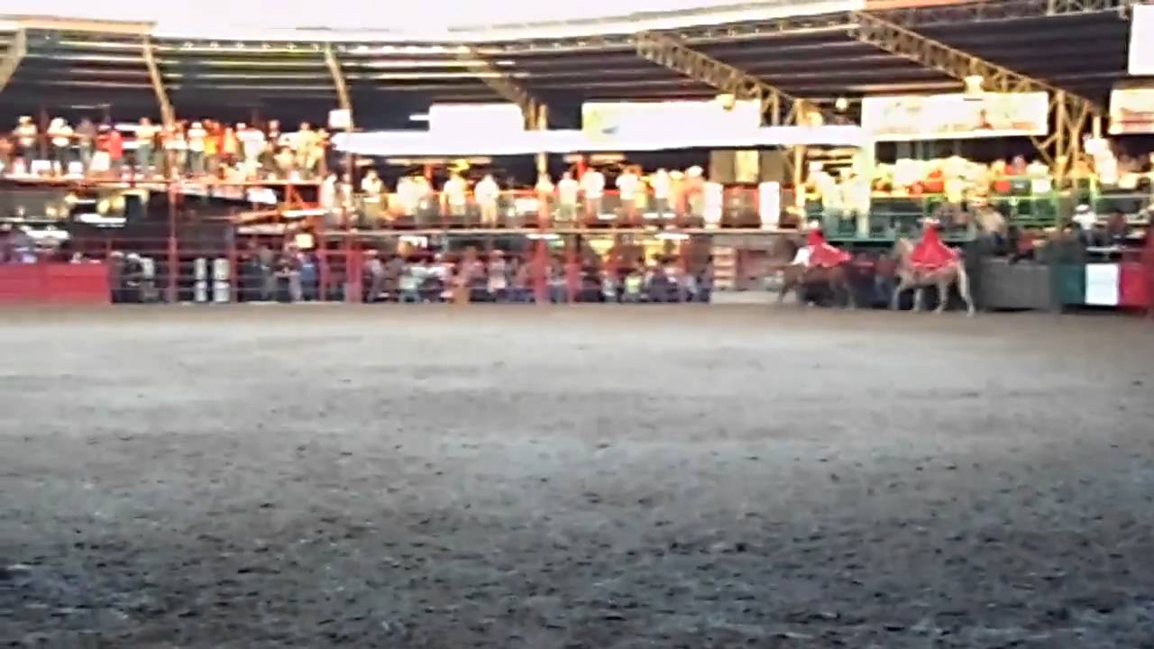 Escaramuza Las Rebeldes de Houston, Texas YouTube