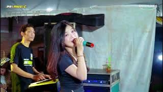 Download lagu PRI MUSIC - FLY WITH ME - NOVI APRILIA - WEDDING ANO & NINGSIH - BAWU BATEALIT JEPARA