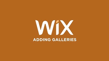 Adding and Customizing Image Gallery on Wix website