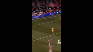 Unbelievable goal