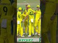 Massive Strike Removes Arafat Minhas 🚀 | Pakistan vs Australia | PCB | M9J1U